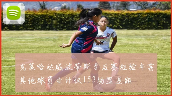 克莱哈达威波蒂斯季后赛经验丰富其他球员合计仅153场显差距